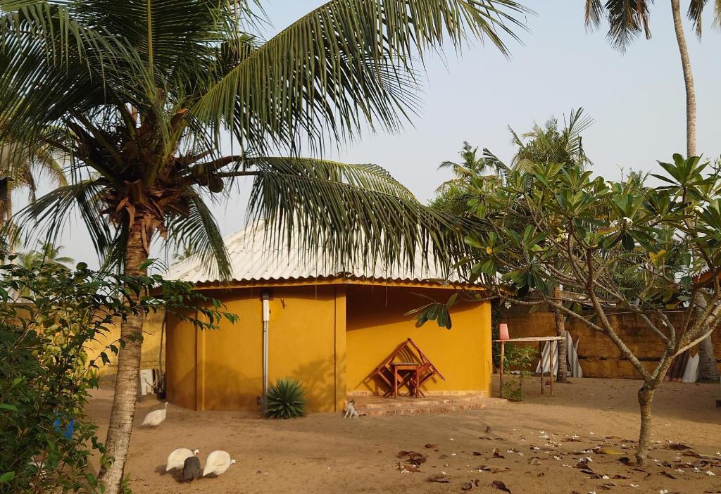 大巴萨姆Rundbungalow auf Lionsrest的棕榈树前方的黄色房子