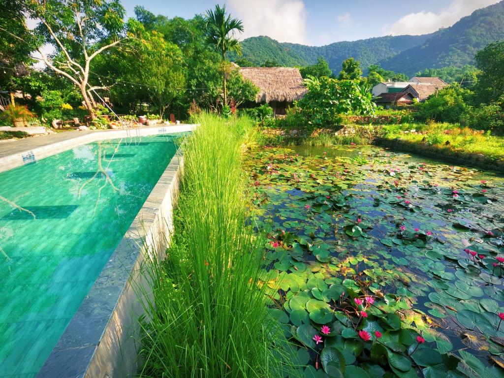 枚州县Mai Chau Valley Retreat的一座带百合花的游泳池以及度假酒店