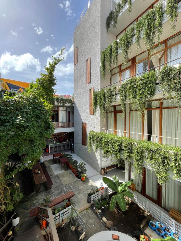 明德卢Casa de Poço Guest House and Gallery的公寓大楼设有种有植物的庭院