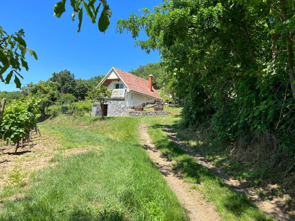 KáptalantótiVine Cottage的通往山上房屋的土路