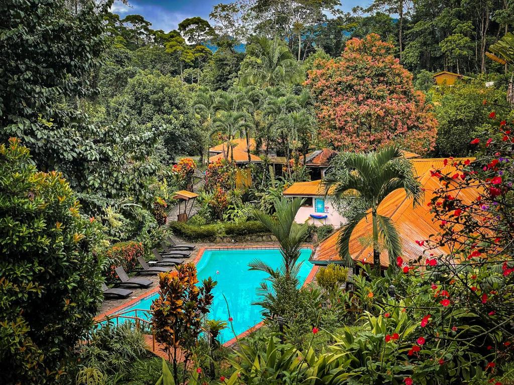 福尔图纳Finca Luna Nueva Lodge的享有带游泳池的度假村的空中景致