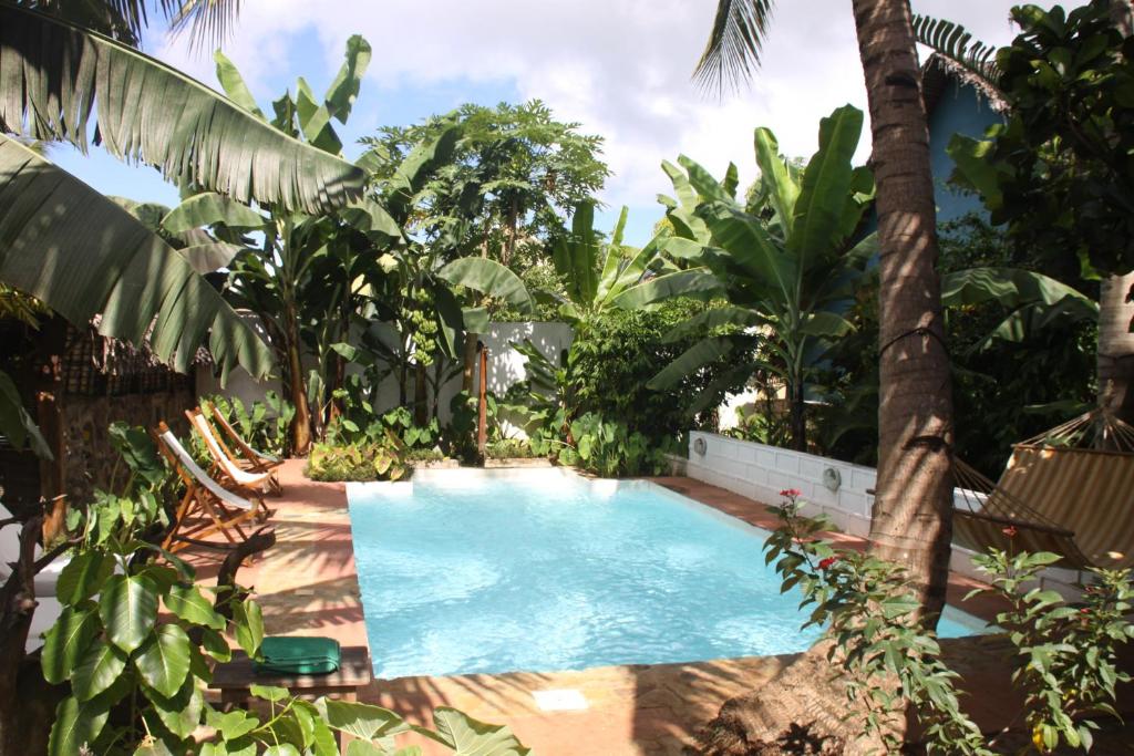 Hell-Ville阿姆博娜拉简易别墅酒店的棕榈树花园内的游泳池