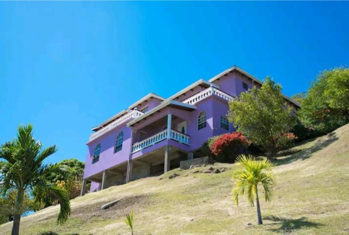 格兰德海滩Altare - Breezy with a View的棕榈树山顶上的紫色房子