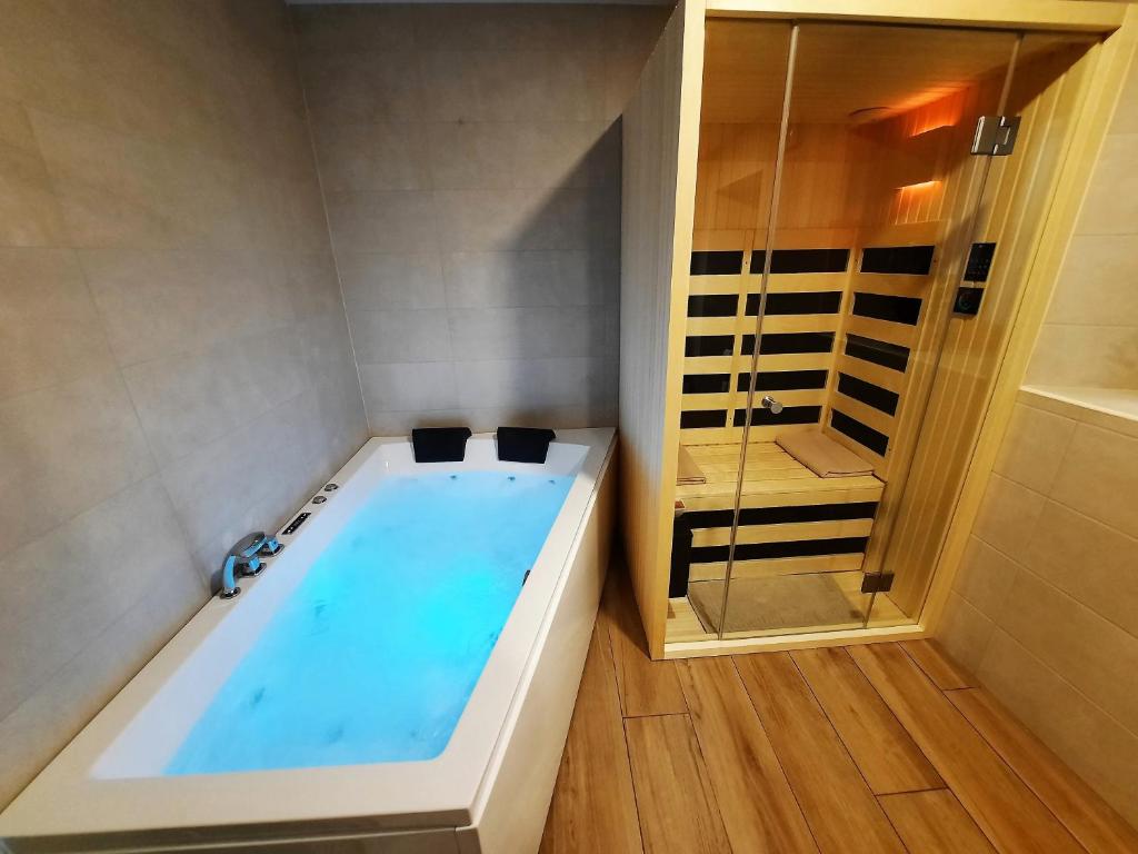 科巴里德Apartments Hlapi with SPA的设有带浴缸和淋浴的浴室。
