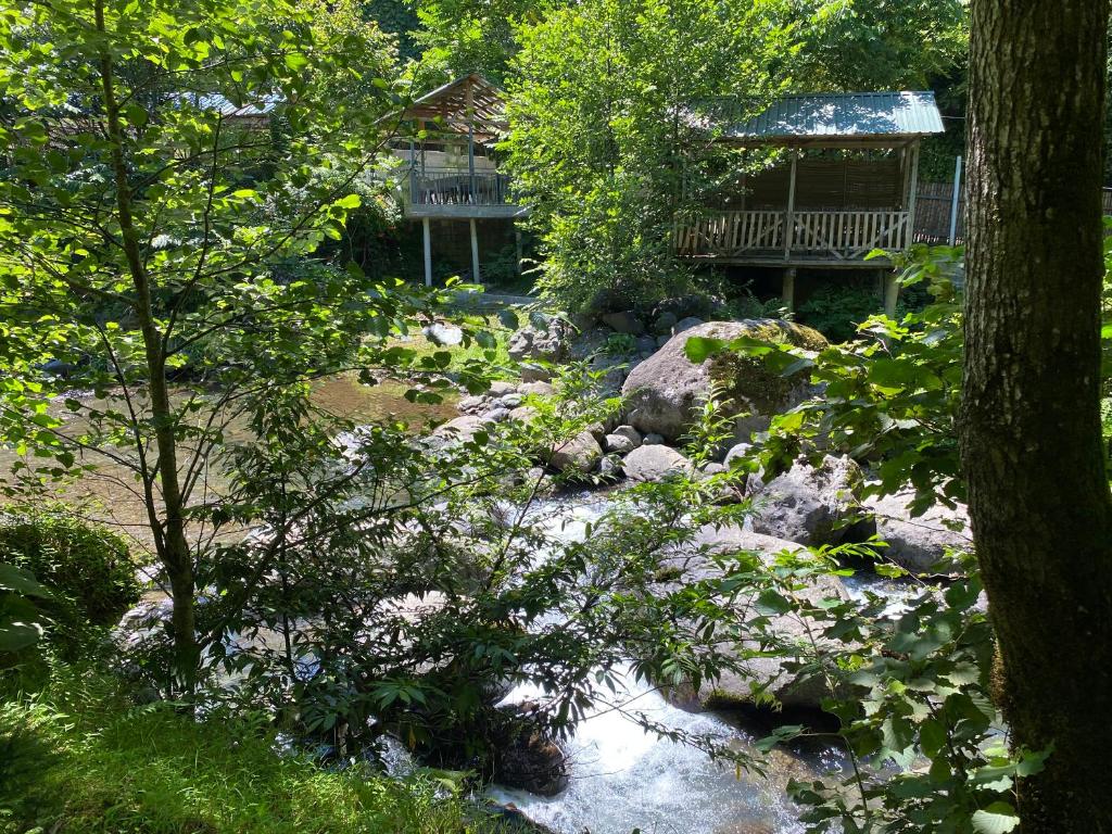 巴统Venera's Guest House的一座种有岩石和树木的花园以及一座房子