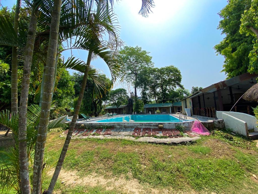 奇旺Nature Safari Camp的棕榈树庭院中的游泳池