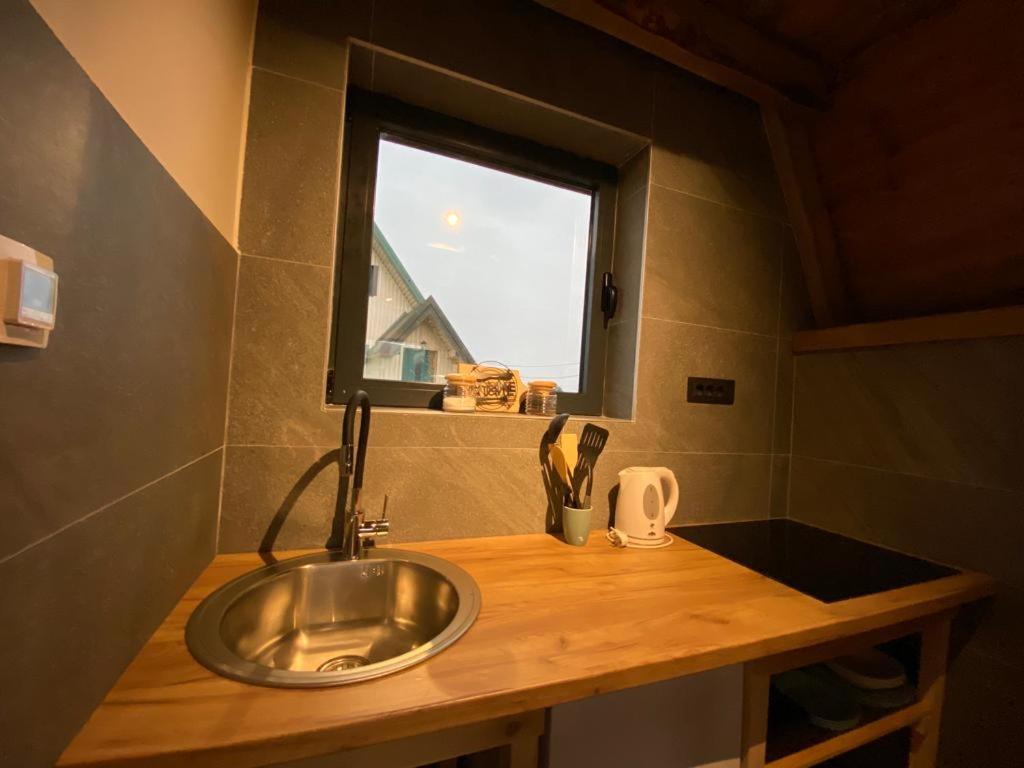扎布利亚克DANDELION HOUSE的带窗户的浴室内的盥洗盆