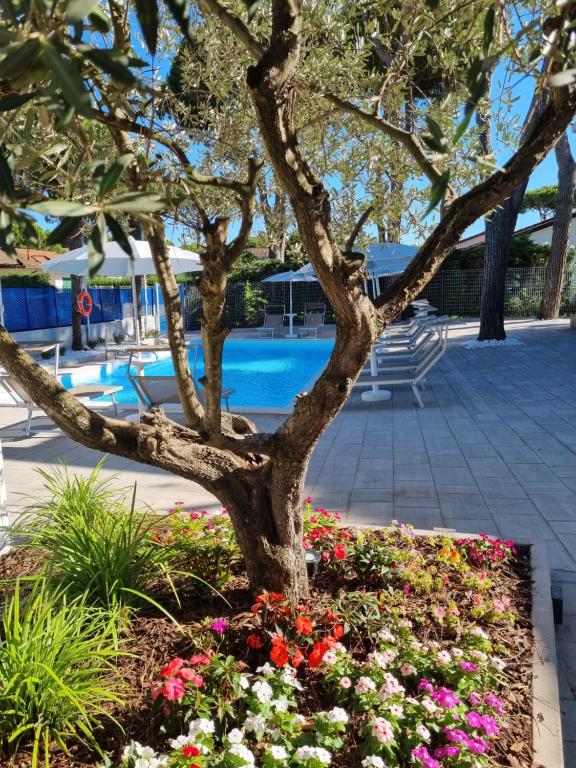 利多尔德纳西奥尼Blue Inn Residence e B&B的游泳池旁花床上的树