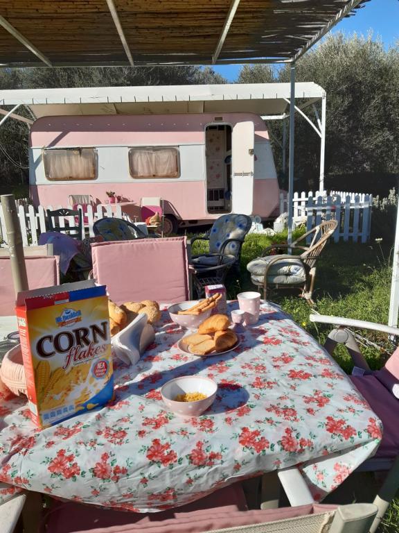 埃拉蒂尼Mary 's Retro Caravan的一张野餐桌,上面放着一盒玉米片和食物