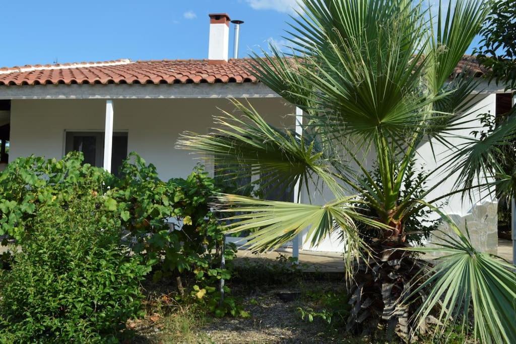 里托楚伦Litochoro apartment in Estate A1的前面有棕榈树的房子