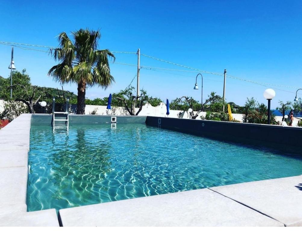 伊斯基亚Hotel Villa Bernardina的一座拥有蓝色海水和棕榈树的游泳池