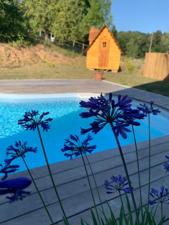 龙尚Insolite avec piscine Au Bonheur Comtois的一座鸟屋,毗邻一座种有紫色花的游泳池