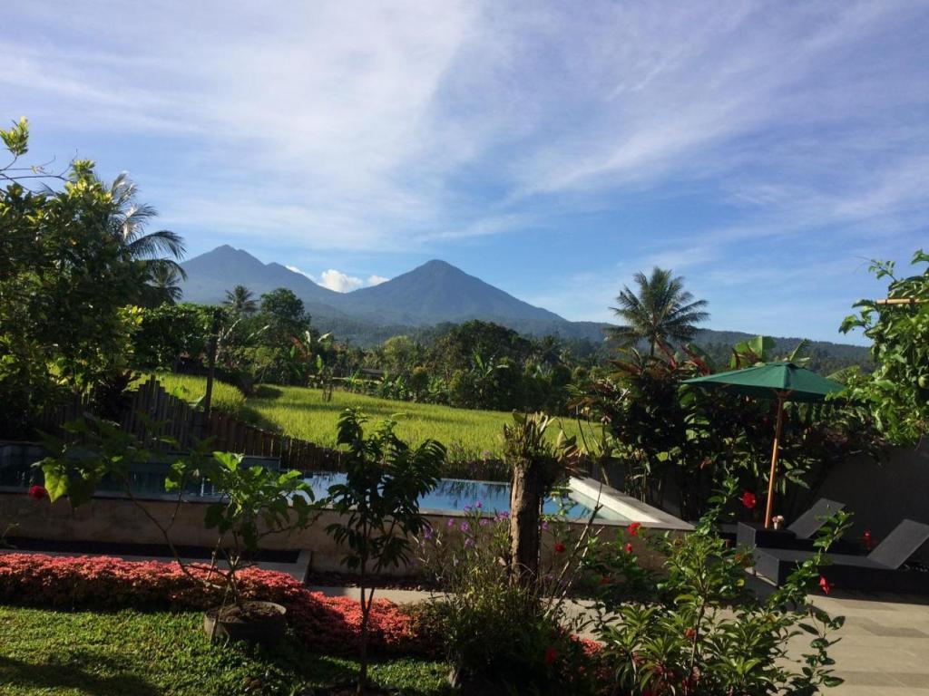 MayongThe Aroma Villa Munduk的享有山脉美景。
