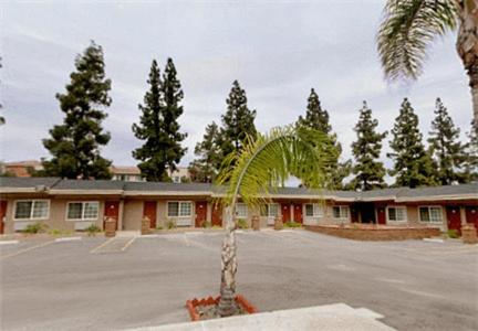 圣贝纳迪诺圣贝纳迪诺美国最佳价值旅馆的汽车旅馆前停车场的棕榈树