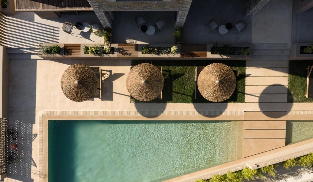 普拉基亚斯NERĒA Boutique Hotel的享有带长椅和树木的游泳池的顶部景致