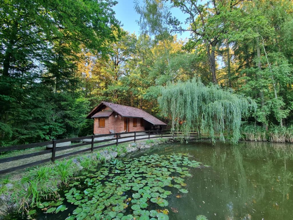 Šmarje pri JelšahCottage by the pond Pavel的一座小木船舱,毗邻一个养有百合花的池塘