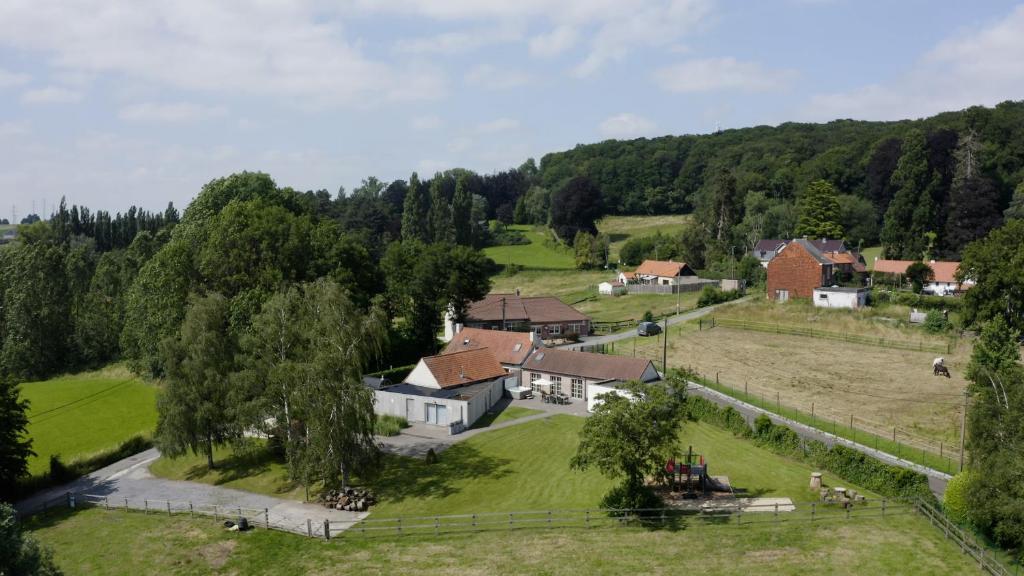 龙塞Vakantiehuis DE RIEKE 16 personen的享有村庄的空中景致,拥有房屋和树木