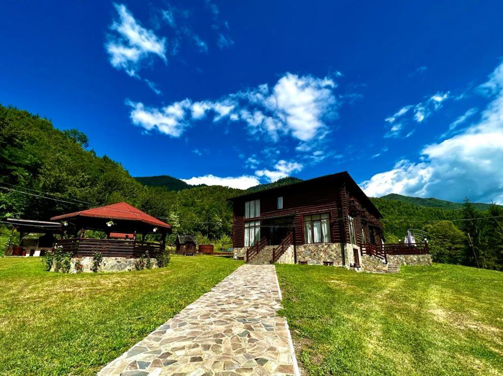 Valea VişeuluiPensiunea Roxana的山坡上的房子,有一条通往山坡的小路
