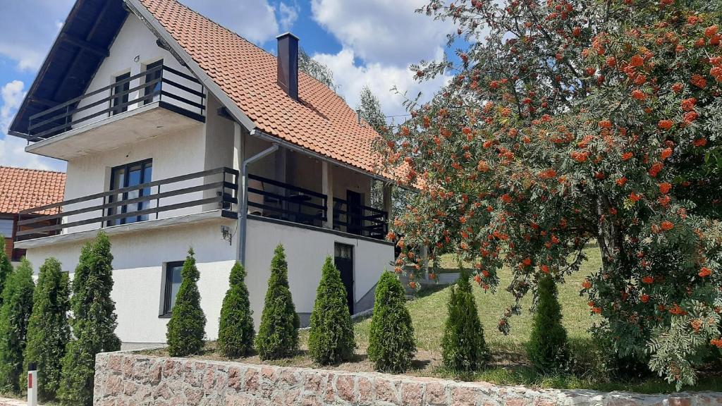 兹拉蒂博尔Kuća sa pogledom na Tornik的前面有一棵树的白色房子