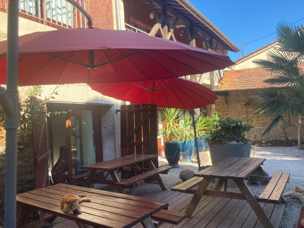 佩鲁日Chambres d hotes THE RESID的庭院里设有两张带红伞的野餐桌
