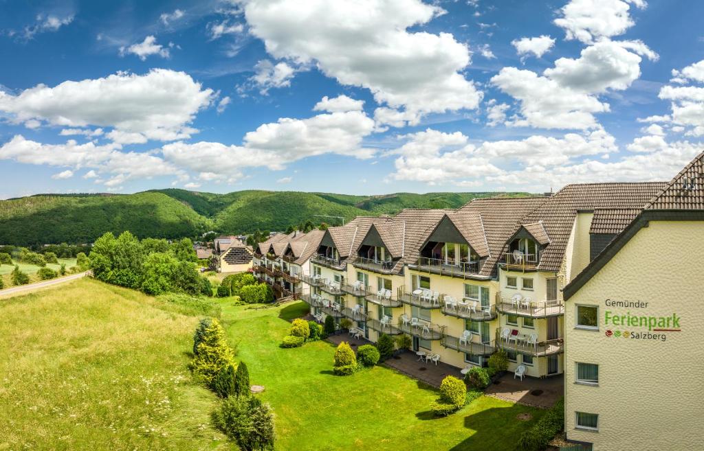 施莱登索尔兹伯格穆德弗里恩公园酒店的享有度假胜地的空中景致,以山脉为背景