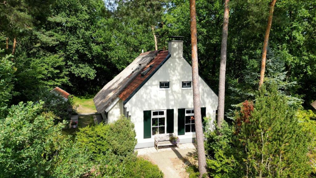 IJhorstCottage Hazenhorst - paradijs aan het bos的树林中带屋顶的白色房子