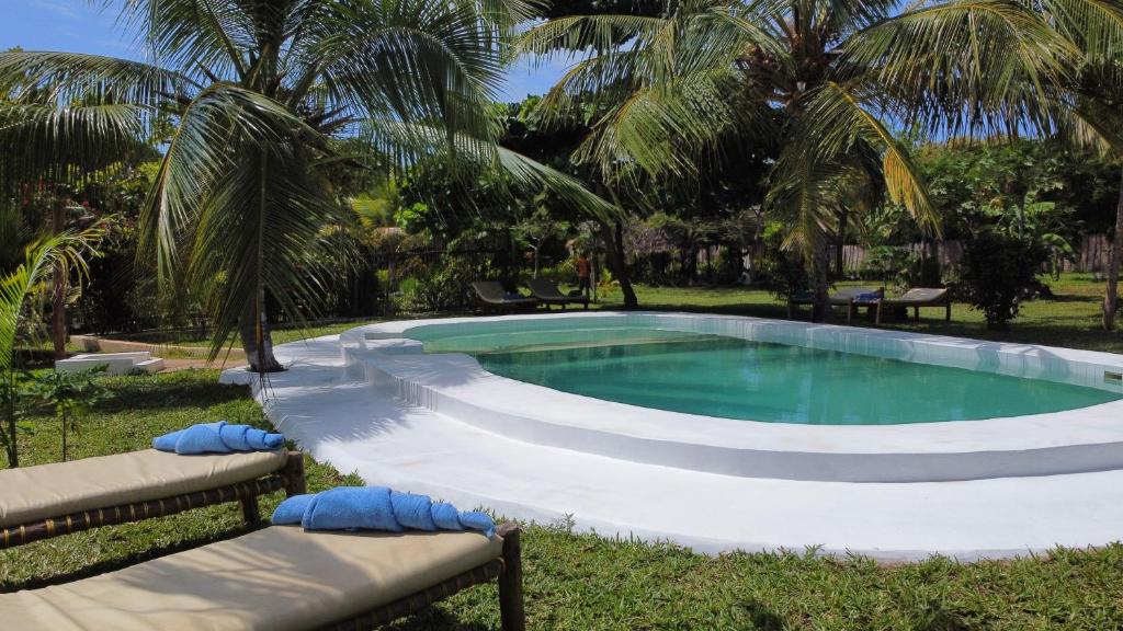 米查维Botanica Eco Lodge的棕榈树庭院内的游泳池
