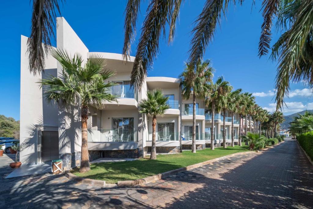 玛利亚Aeolos Beach Resort的一座棕榈树建筑