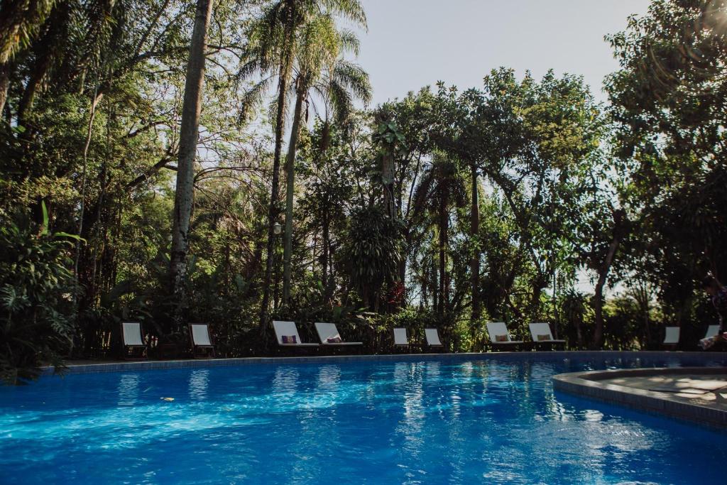 伊瓜苏港Overo Lodge & Selva的一个带椅子的游泳池,棕榈树