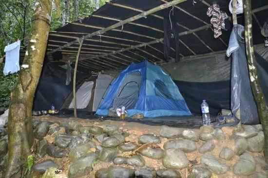 武吉拉旺Bukit Lawang Glamping & Jungle Trekking的蓝色帐篷,一些岩石和一棵树