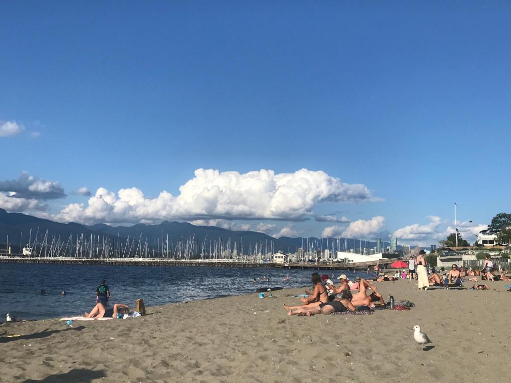 温哥华heart of Kitsilano area,5 mins walk to kits beach的一群人坐在海滩上