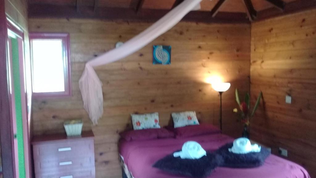 Rosalie3河流生态山林小屋的小木屋内一间卧室,配有粉红色的床