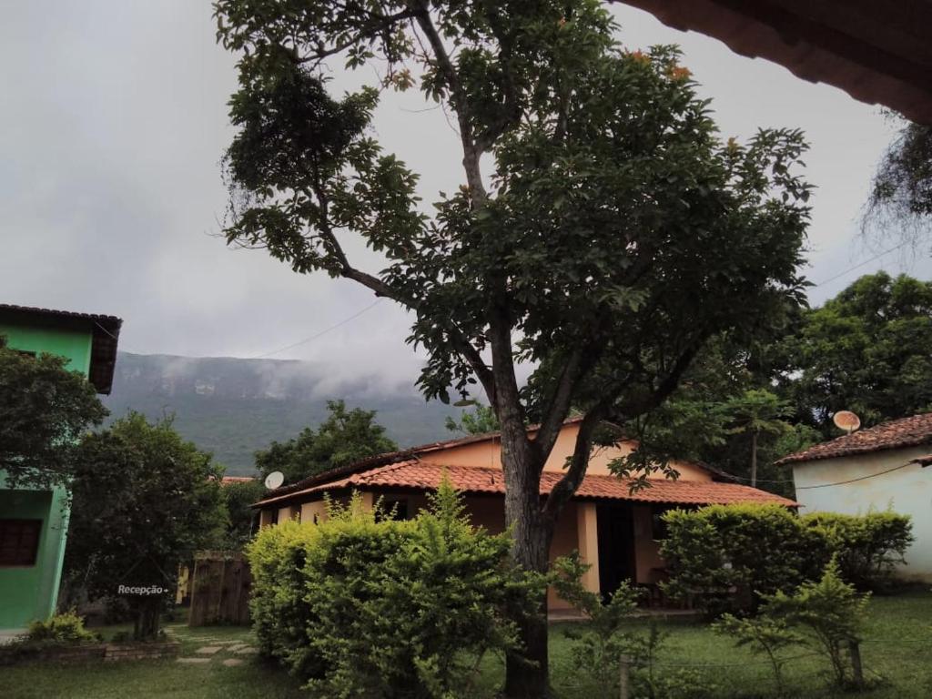 韦尔卡鲍Pousada Abacateiro的前面有一棵树的房子