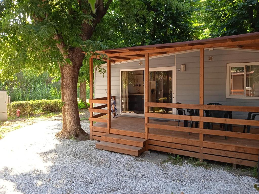 阿梅利亚Mobile home Comfort Ameglia - including airco - Camping River- 327的前面有一棵树的小木屋