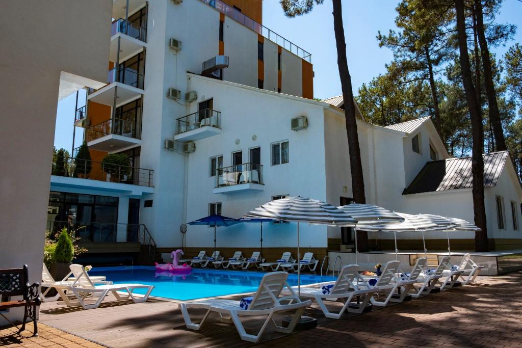 谢赫维蒂利Buxus Hotel Shekvetili的一个带游泳池、椅子和遮阳伞的酒店