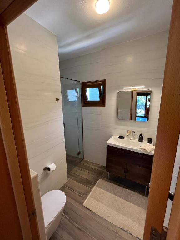 克里皮吉Paralia Homes peaceful 2 bedroom, unit # 2的浴室配有卫生间、盥洗盆和淋浴。