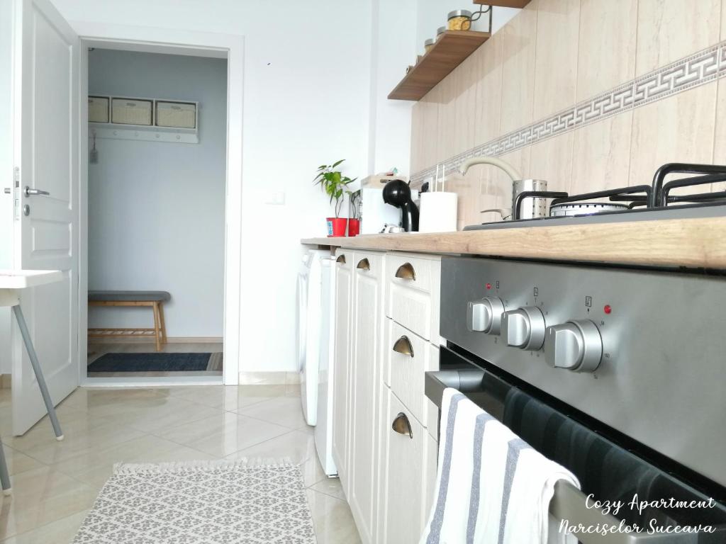 IpoteştiCozy Apartment Narciselor Suceava的厨房配有白色橱柜和台面