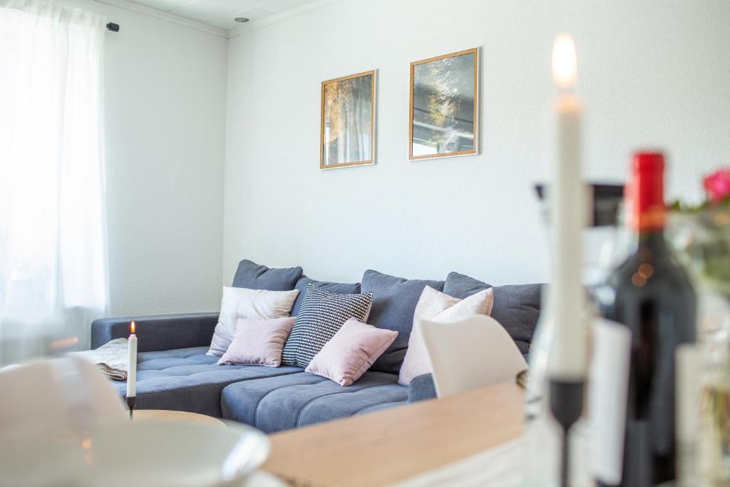 贝斯特维希Ferienwohnung Landparadies im Sauerland的客厅配有带枕头的蓝色沙发