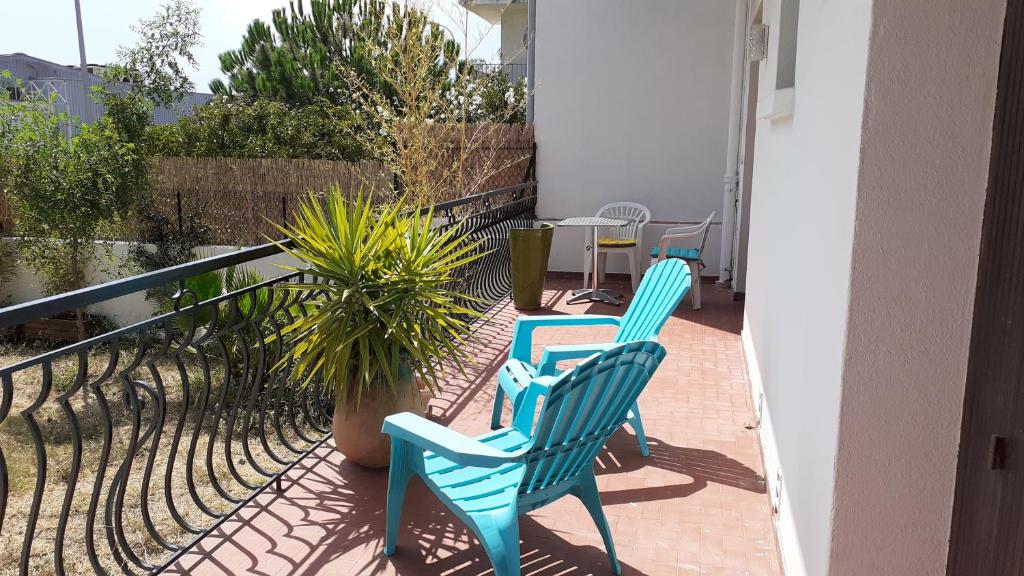 佩皮尼昂Bel appartement avec grande terrasse ensoleillée et jardin的两把蓝色椅子坐在植物阳台
