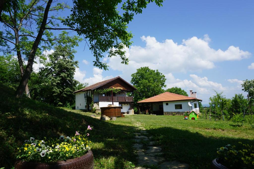 KameshtitsaКъща за гости "Касапите"的山丘上带草地的房屋