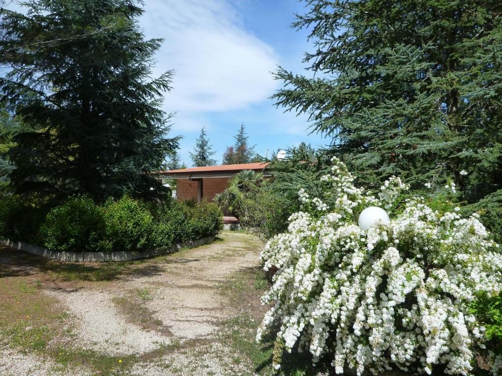 蒙特堡Chez-Antoinette的一座种有白色花卉和树木的花园以及一座建筑