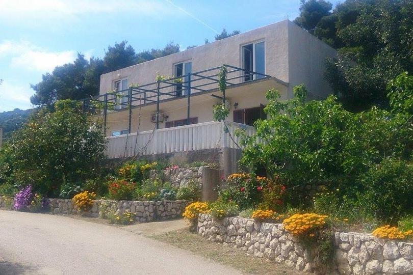 萨普伦纳拉Apartments and rooms by the sea Cove Saplunara, Mljet - 4907的花房在路边的房子