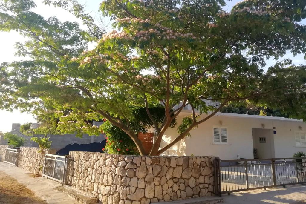 马拉诺维奇Apartments by the sea Cove Saplunara, Mljet - 4896的房子前石墙中的一棵树