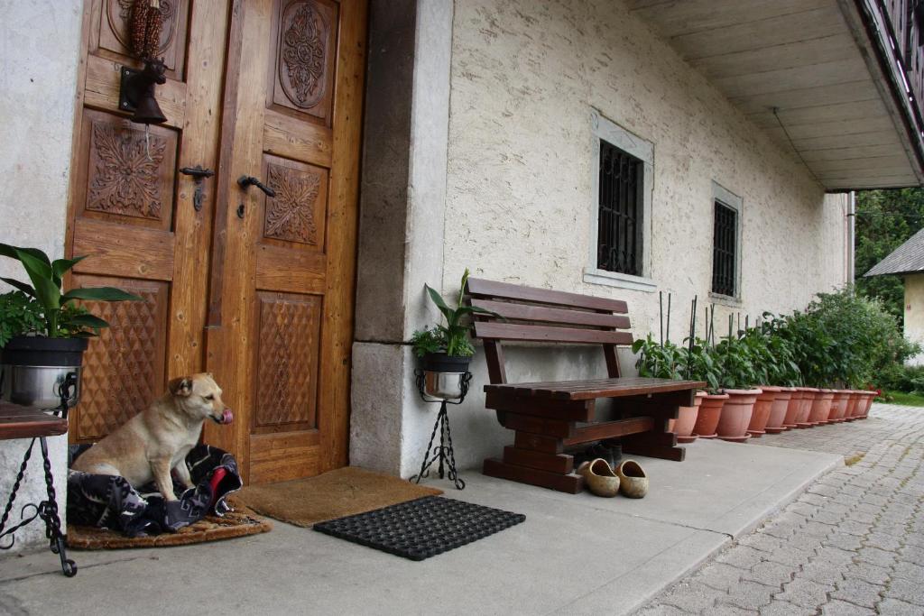 佐尔尼耶戈迪Family apartment on Repečnik farm in Gorje, Bled的狗坐在门前的垫子上