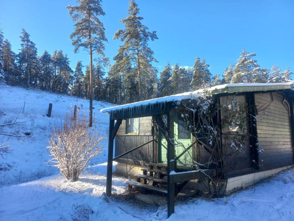 格雷奥利埃Petit chalet pour amoureux de la nature au « Domaine de Tara »的雪中小的树,背景