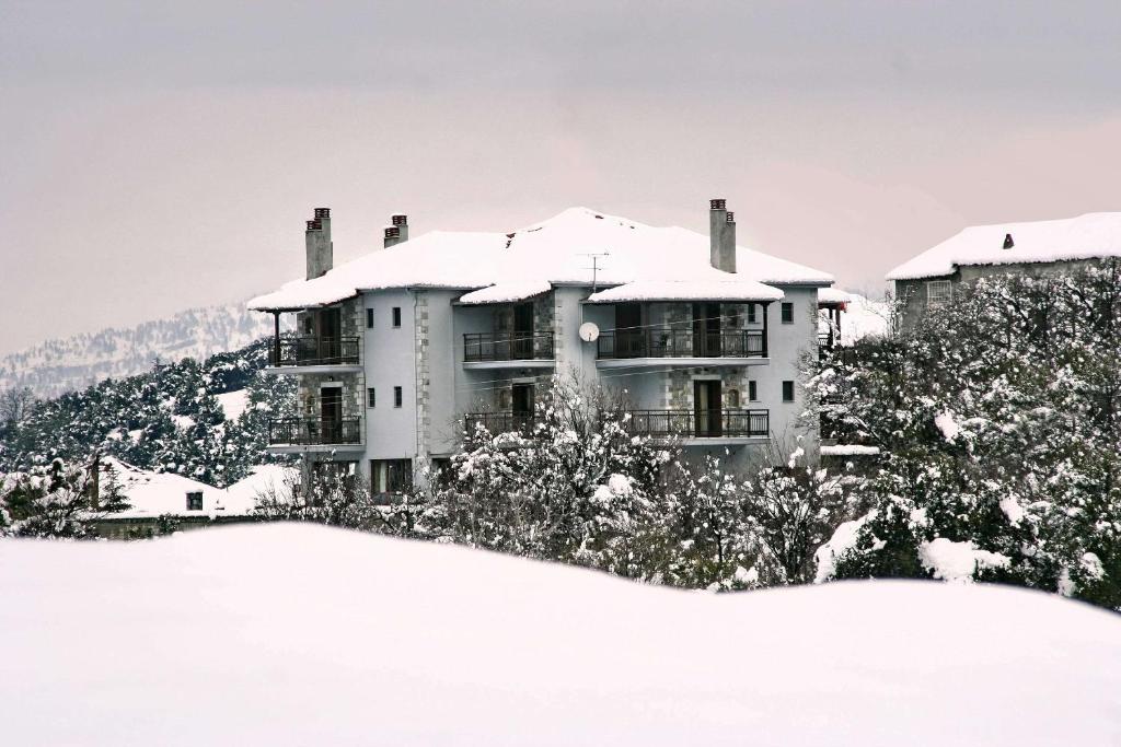 维蒂纳Aiora Guesthouse的屋顶上积雪的大房子