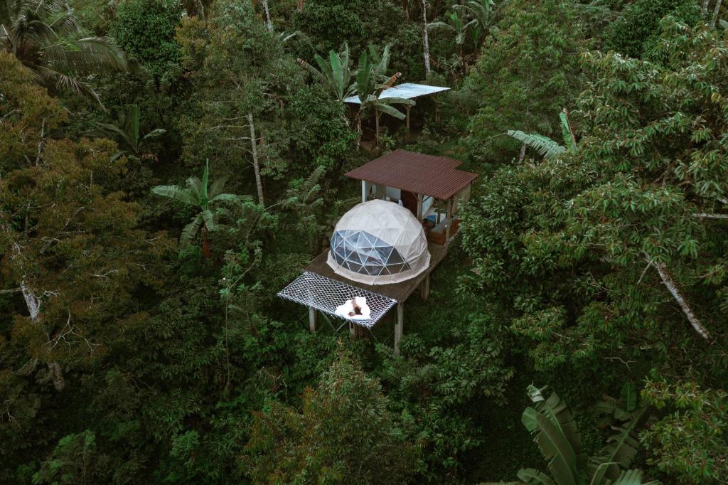 塔巴南Bali Jungle Camping by Amerta Experience的森林凉亭的顶部景色
