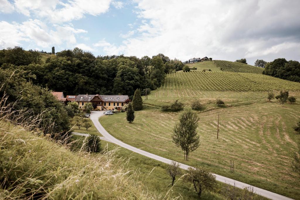 加姆利茨Bio Weingut Matthias Schnabl的山坡上一座房子的田野里的道路