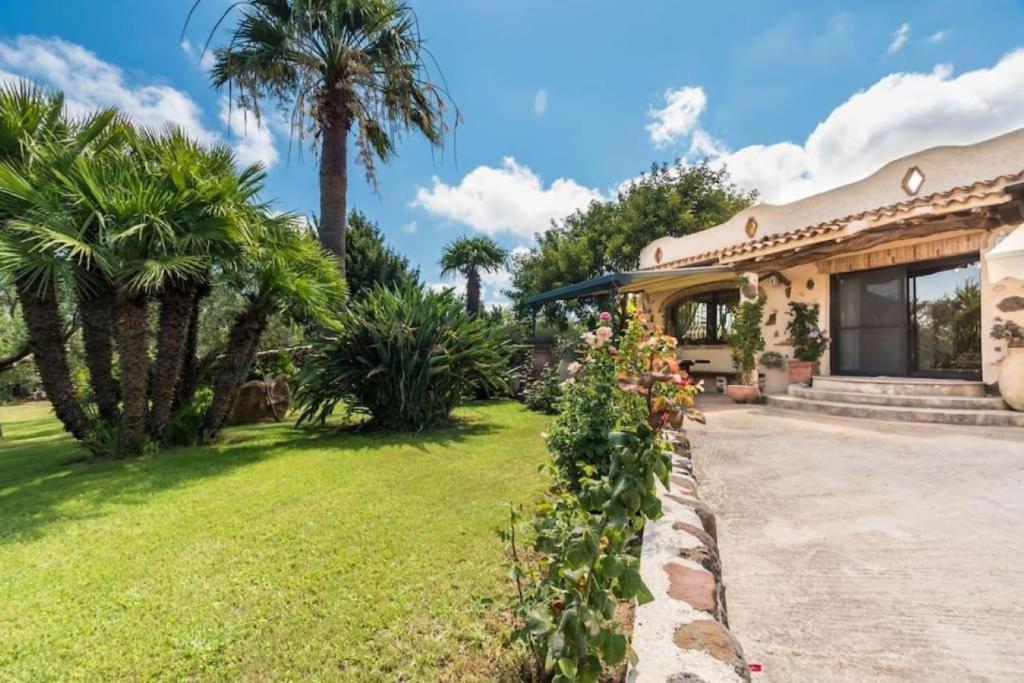 奥罗塞伊villa con immenso giardino的棕榈树和院子的房子
