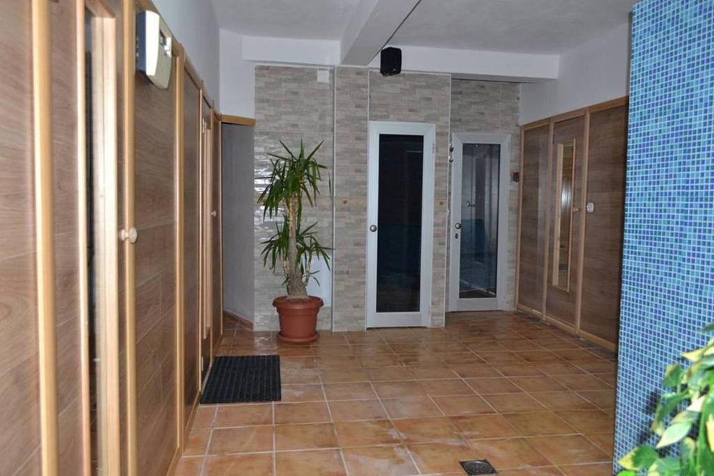 库马诺沃Hotel Etno Selo Timcevski的走廊上,在房间里放着盆栽植物